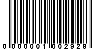 0000001002928