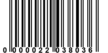 0000022038036