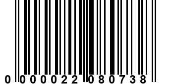 0000022080738