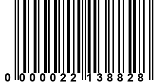 0000022138828