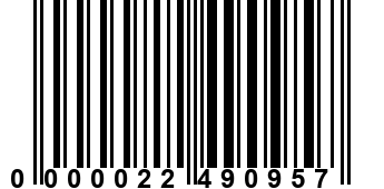 0000022490957