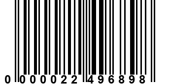 0000022496898