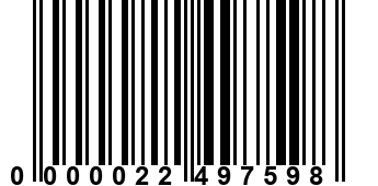 0000022497598