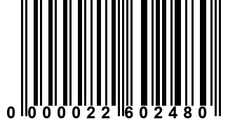 0000022602480