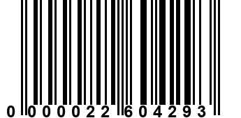 0000022604293