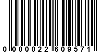 0000022609571