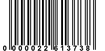 0000022613738