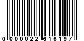 0000022616197