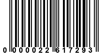 0000022617293