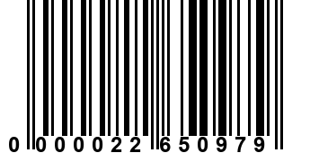 0000022650979