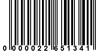 0000022651341