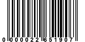 0000022651907