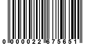 0000022675651