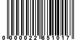 0000022851017