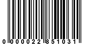 0000022851031