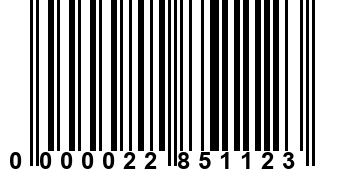 0000022851123