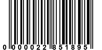 0000022851895