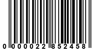 0000022852458