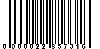 0000022857316