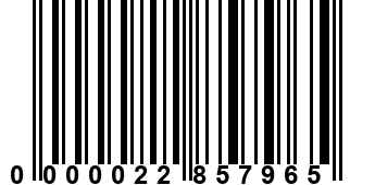 0000022857965