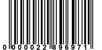 0000022896971