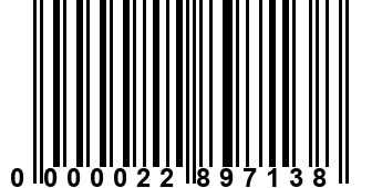 0000022897138