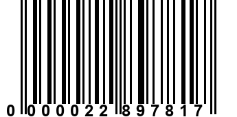 0000022897817