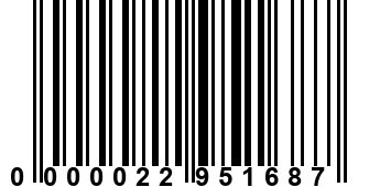 0000022951687