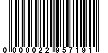 0000022957191