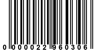 0000022960306