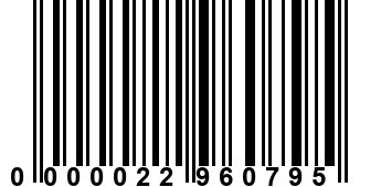 0000022960795