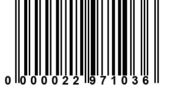 0000022971036