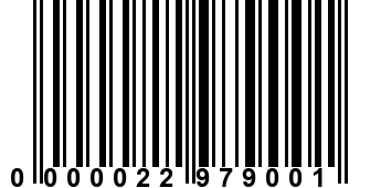 0000022979001