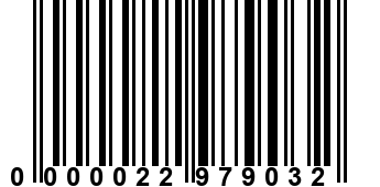 0000022979032