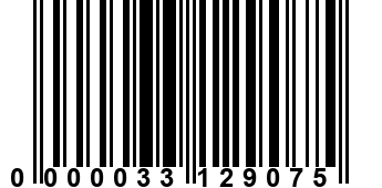 0000033129075