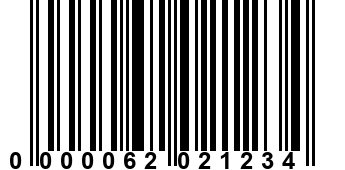 0000062021234