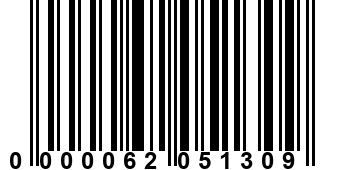 0000062051309