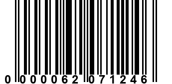 0000062071246