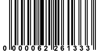 0000062261333