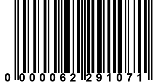 0000062291071