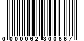 0000062300667