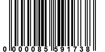 0000085591738