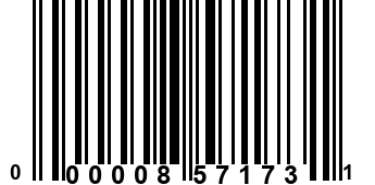 000008571731