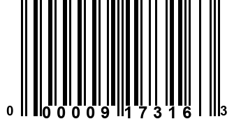 000009173163