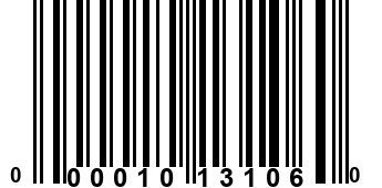 000010131060