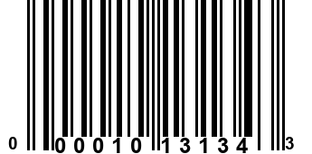 000010131343