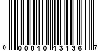 000010131367