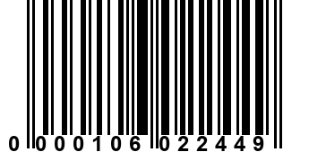 0000106022449