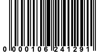 0000106241291