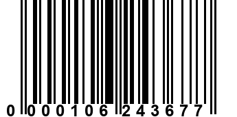 0000106243677